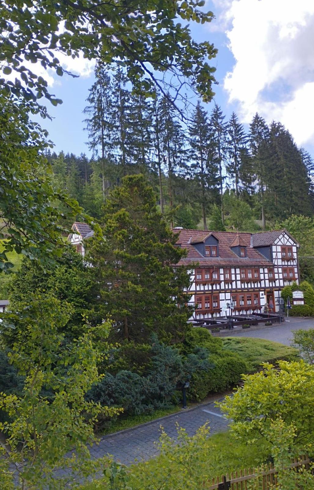 Pension Landhaus Machold Friedrichroda Dış mekan fotoğraf