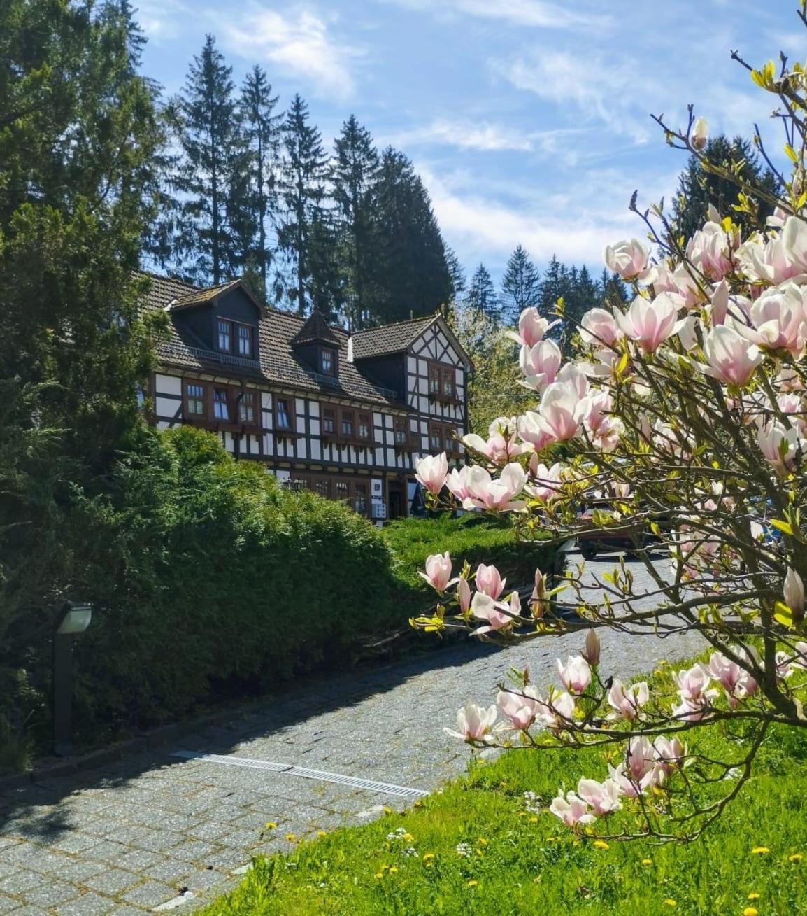 Pension Landhaus Machold Friedrichroda Dış mekan fotoğraf