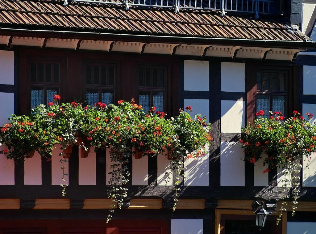 Pension Landhaus Machold Friedrichroda Dış mekan fotoğraf